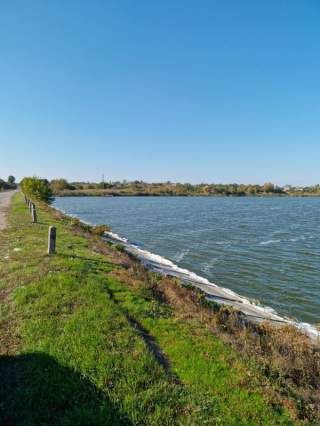 Участок виходить до води, с. Погреби