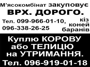 М'ЯСОКОМБІНАТ ЗАКУПОВУЄ ВРХ. ДОРОГО
