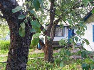Будинок 4 кімнати для проживання, з садибою для ведення господарства.