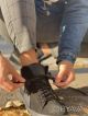 Зимние мужские кроссовки Puma.Зимние кроссовки Пума.