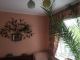 3-комнатная квартира, 48 м.кв.