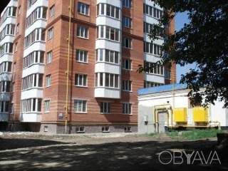 Нежитлове підвальне приміщення вулиця Антона Грицая (Ляхова) 12