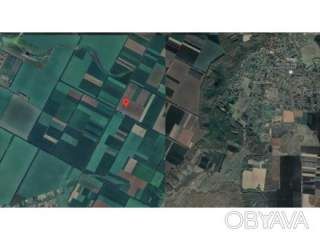 Участок, 251.97 сот