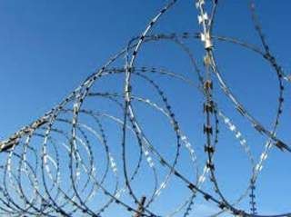 Сетка Егоза Казачка 450/3