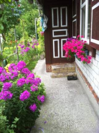 Продам дачу в садовому товаристві &laquo;Дніпровськийзаливл&raquo;,