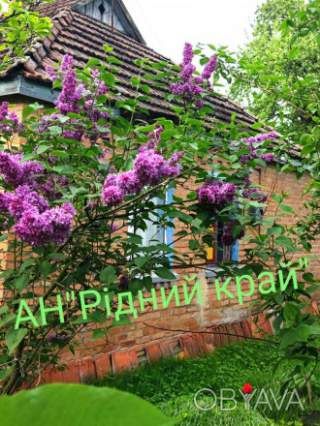 Затишний окремий, дешевий будинок з ділянкою