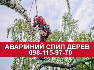 Аварійний спил дерев будь-якої складності з автовишки в будь-який час.