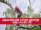 Аварійний спил дерев будь-якої складності з автовишки в будь-який час.